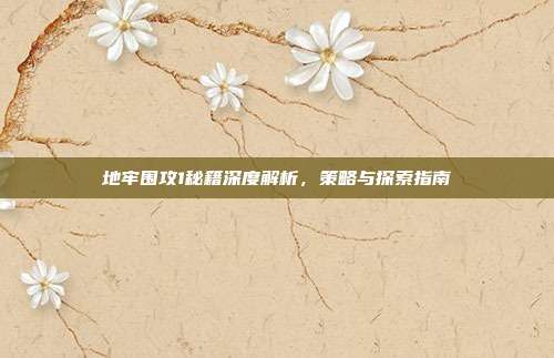 地牢围攻1秘籍深度解析,策略与探索指南