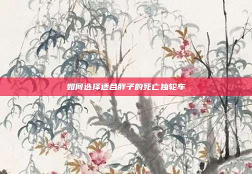 如何选择适合胖子的死亡独轮车