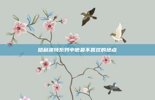 哈利波特系列中他最不喜欢的地点