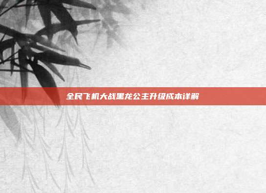 全民飞机大战黑龙公主升级成本详解