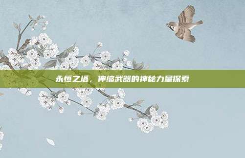 永恒之塔,伸缩武器的神秘力量探索