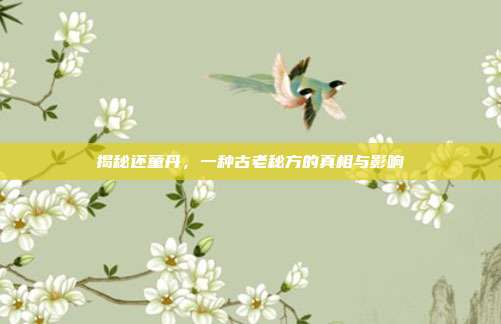揭秘还童丹,一种古老秘方的真相与影响