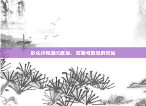 卧龙吟魏国试练塔,策略与智慧的较量
