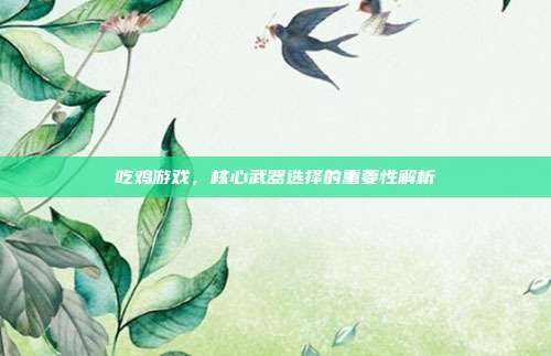 吃鸡游戏,核心武器选择的重要性解析