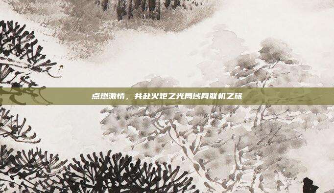 点燃激情,共赴火炬之光局域网联机之旅