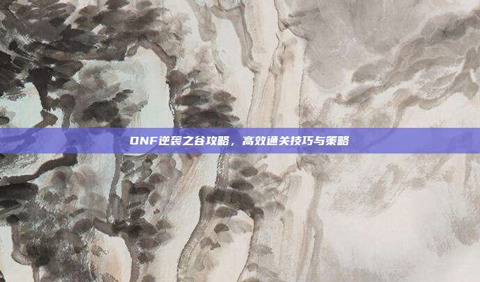 DNF逆袭之谷攻略,高效通关技巧与策略