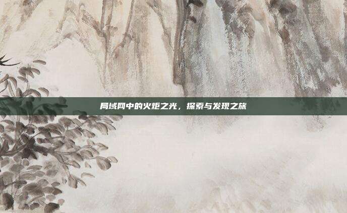 局域网中的火炬之光,探索与发现之旅