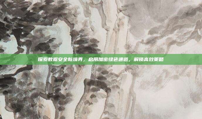探索数据安全新境界,启用加密绿色通道,解锁高效策略