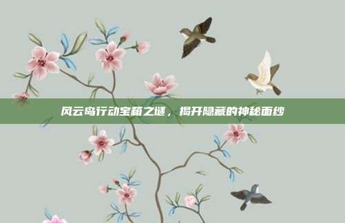 风云岛行动宝箱之谜,揭开隐藏的神秘面纱