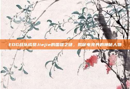 EDG战队成员Jiejie的国籍之谜,揭秘电竞界的神秘人物