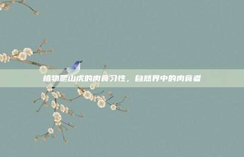 植物爬山虎的肉食习性,自然界中的肉食者