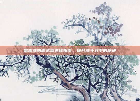 雷霆战机副武器选择指南,提升战斗效率的秘诀