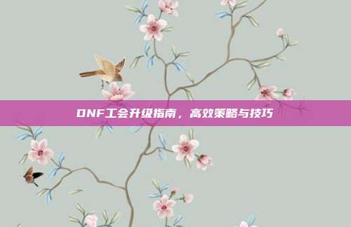 DNF工会升级指南,高效策略与技巧