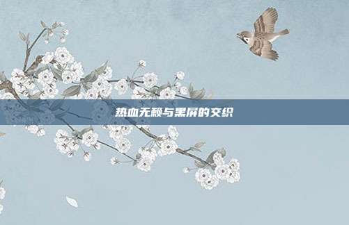 热血无赖与黑屏的交织