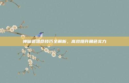 神仙道猎命技巧全解析,高效提升角色实力