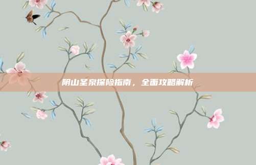 阴山圣泉探险指南,全面攻略解析