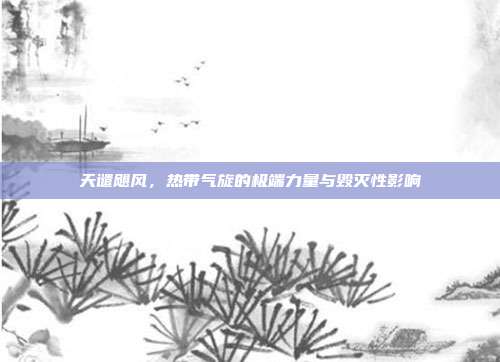 天谴飓风,热带气旋的极端力量与毁灭性影响