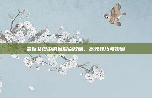最新女漫游刷图加点攻略,高效技巧与策略