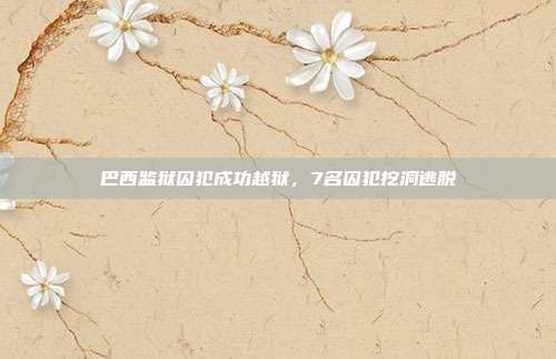 巴西监狱囚犯成功越狱,7名囚犯挖洞逃脱