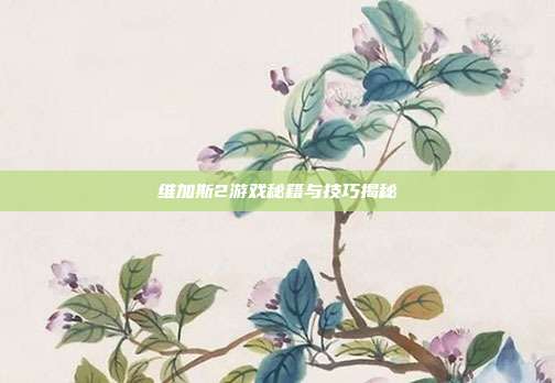维加斯2游戏秘籍与技巧揭秘