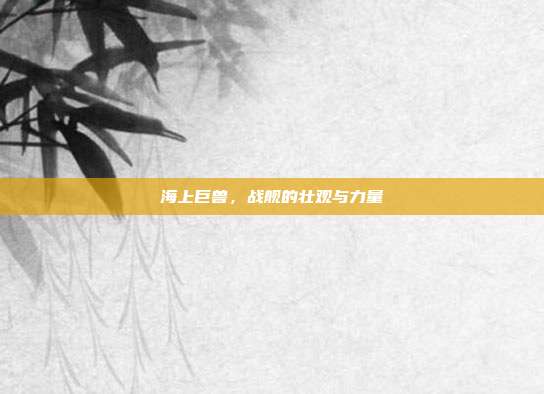 海上巨兽,战舰的壮观与力量
