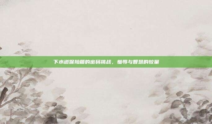 下水道保险箱的密码挑战,羞辱与智慧的较量