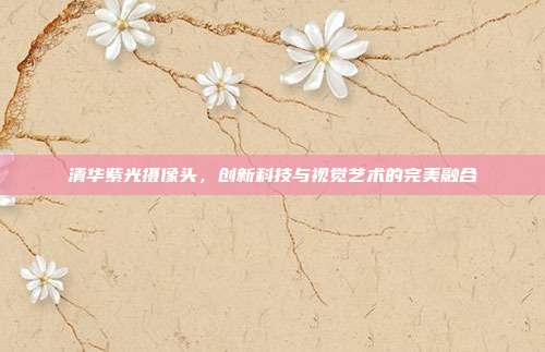 清华紫光摄像头,创新科技与视觉艺术的完美融合