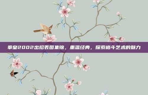 拳皇2002出招表图集锦,重温经典,探索格斗艺术的魅力