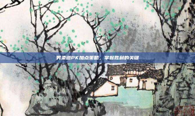 男柔道PK加点策略,掌握胜利的关键