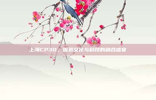 上海CP30,探索文化与科技的融合盛宴