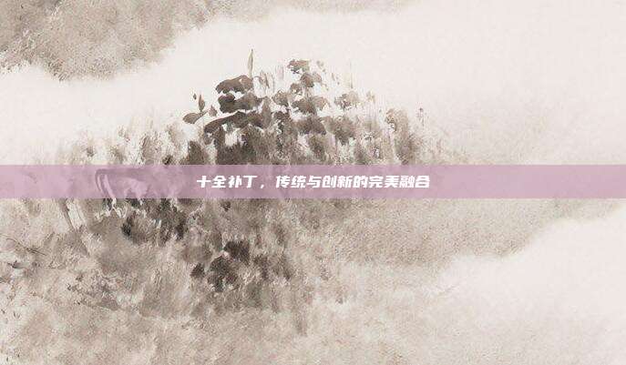 十全补丁,传统与创新的完美融合