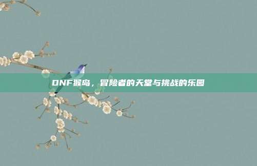 DNF猴岛,冒险者的天堂与挑战的乐园