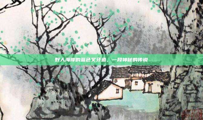 野人海岸的蓝色叉牙鱼,一段神秘的传说
