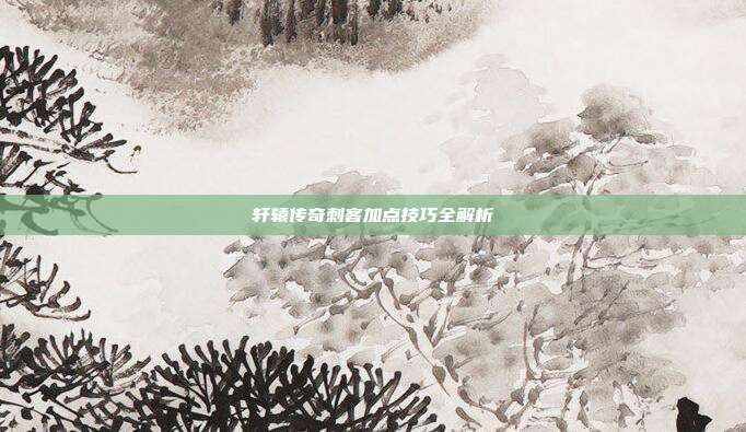 轩辕传奇刺客加点技巧全解析