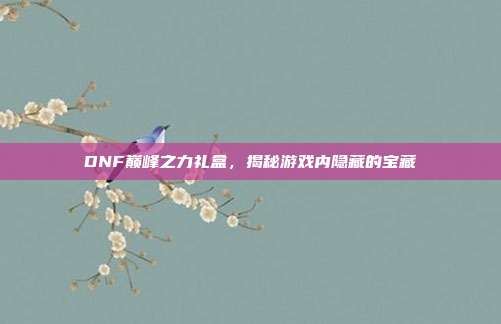 DNF巅峰之力礼盒,揭秘游戏内隐藏的宝藏