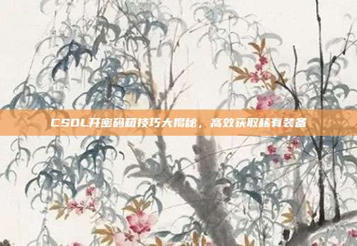 CSOL开密码箱技巧大揭秘,高效获取稀有装备