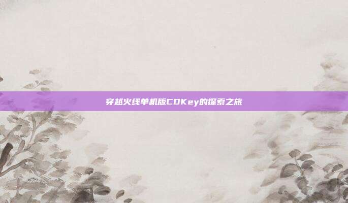 穿越火线单机版CDKey的探索之旅