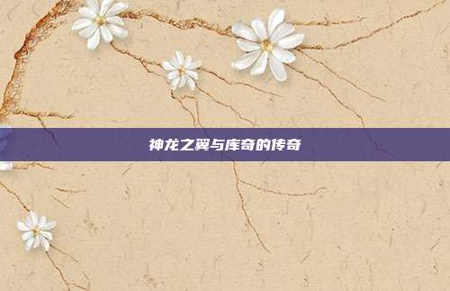 神龙之翼与库奇的传奇