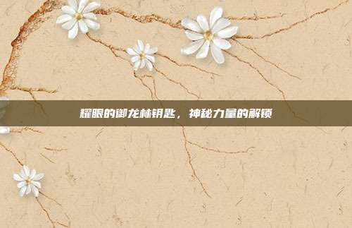 耀眼的御龙林钥匙,神秘力量的解锁