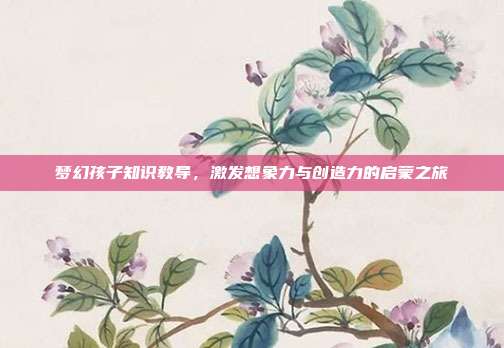 梦幻孩子知识教导,激发想象力与创造力的启蒙之旅