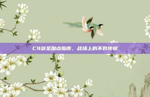 C9剑圣加点指南,战场上的不败传说
