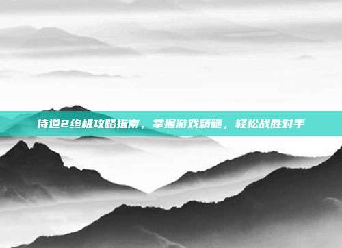 侍道2终极攻略指南,掌握游戏精髓,轻松战胜对手