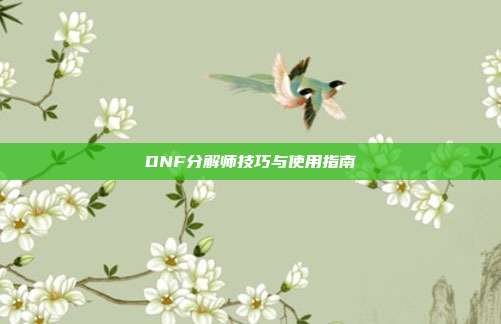 DNF分解师技巧与使用指南