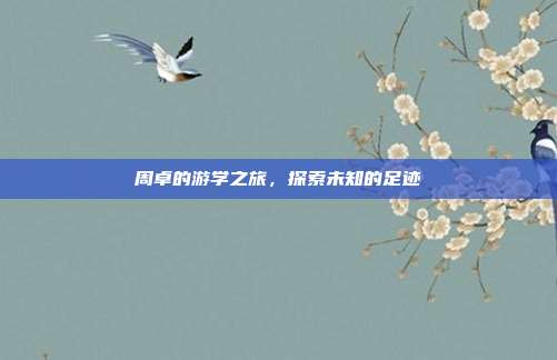周卓的游学之旅,探索未知的足迹