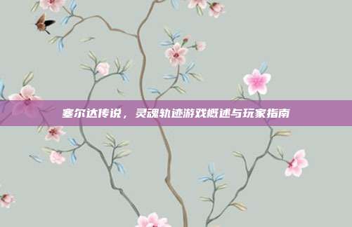 塞尔达传说,灵魂轨迹游戏概述与玩家指南