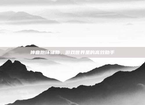 神曲跑环辅助,游戏世界里的高效助手