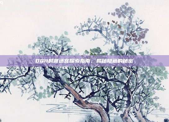 DQ11时渡迷宫探索指南,揭秘隐藏的秘密