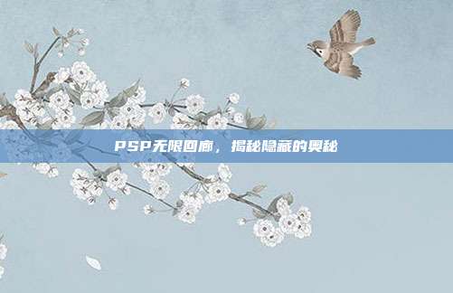 PSP无限回廊,揭秘隐藏的奥秘