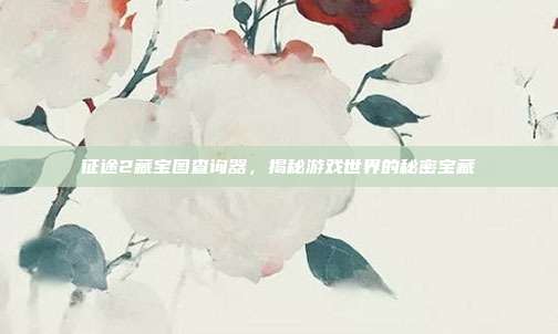 征途2藏宝图查询器,揭秘游戏世界的秘密宝藏