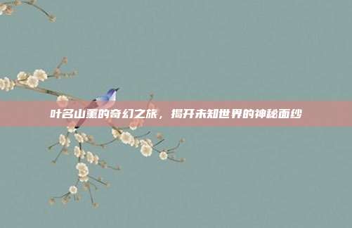 叶名山薰的奇幻之旅,揭开未知世界的神秘面纱